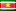 Surinamese Indigenous Territories